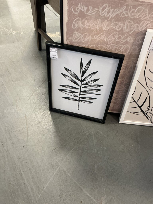Black & White Fern